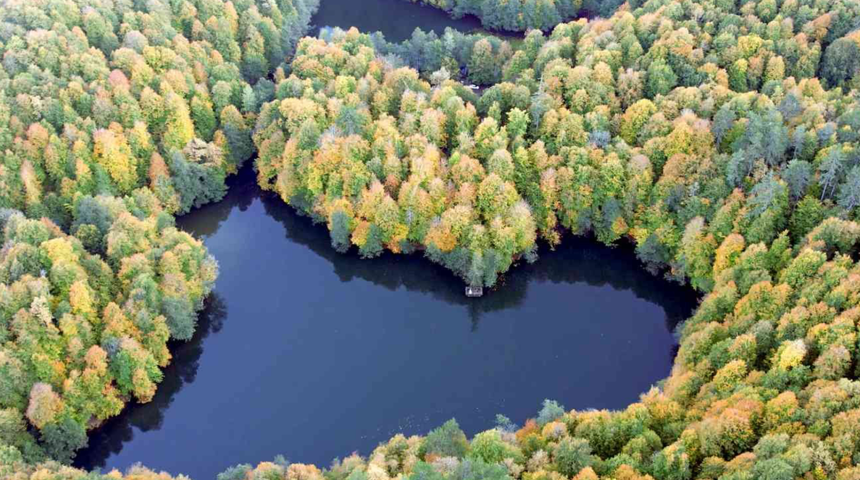 Yedigöller’de sonbahar güzelliği mest etti! Kartpostallık görüntüler ortaya çıktı