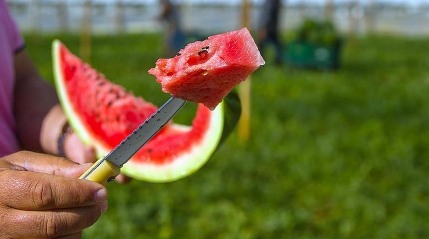 "Karpuz çekirdeğini kabuklu yemeyin"