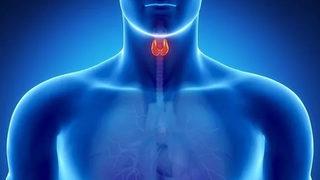 10 milyon tiroid bezi hastası var 