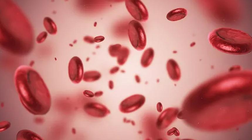 Taze kanın her derde deva olduğu ortaya çıktı