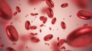 Taze kanın her derde deva olduğu ortaya çıktı