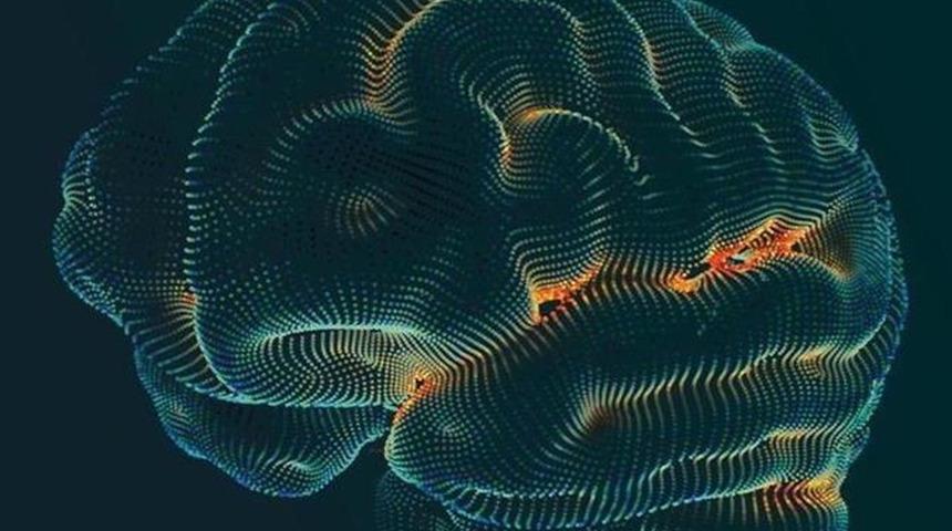 Beyninizi iyi tanıyın