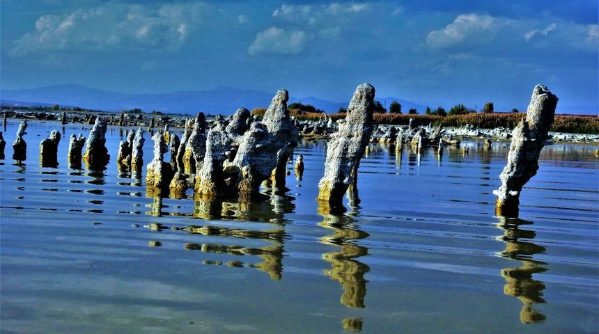 Van Gölü'ndeki mikrobiyalitler yok olma sürecini yaşıyor