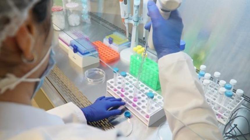 Prof. Dr. Erhan Akdoğan'dan yerli aşı ve nazal sprey aşısı açıklaması