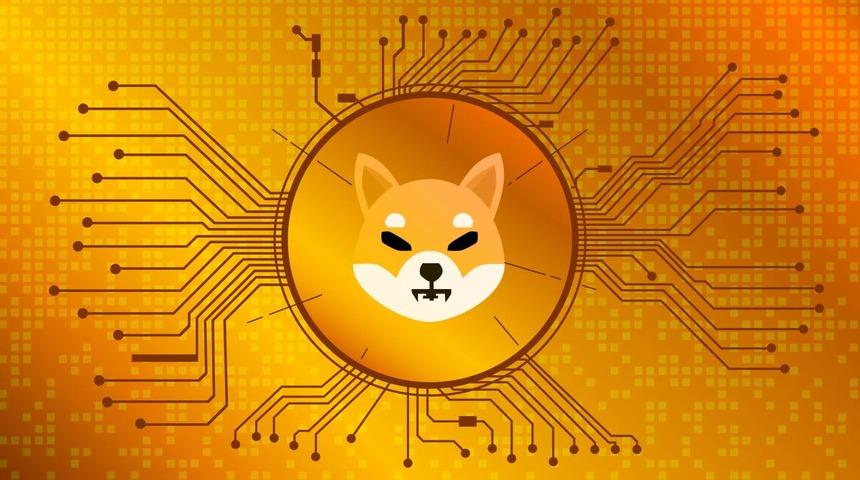 Rekora doymuyor! Shiba Inu piyasa değeri ve hacmiyle Dogecoin'i geride bıraktı