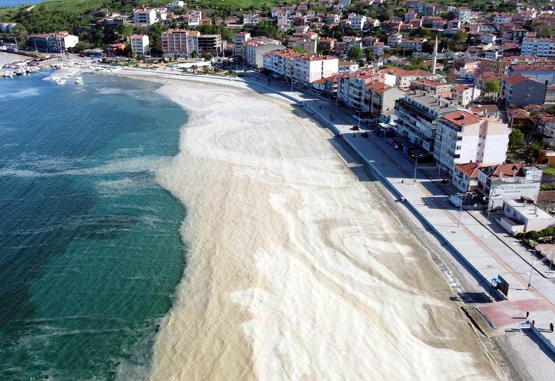 Marmara Denizi'ndeki m&uuml;silaj sorunu ile ilgili endişelendiren a&ccedil;ıklama
