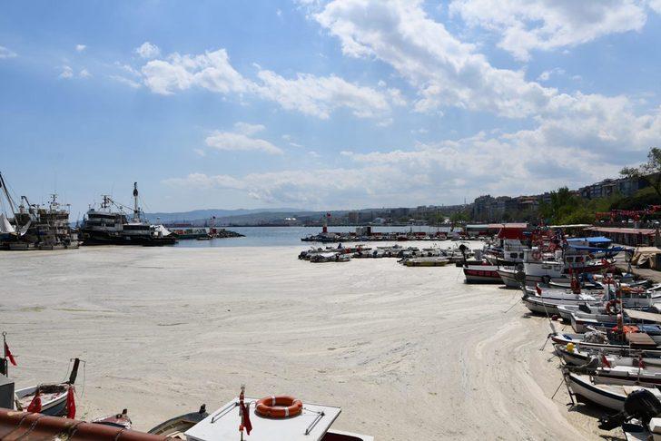 Marmara Denizi'ndeki müsilaj sorunu ile ilgili endişelendiren açıklama G1