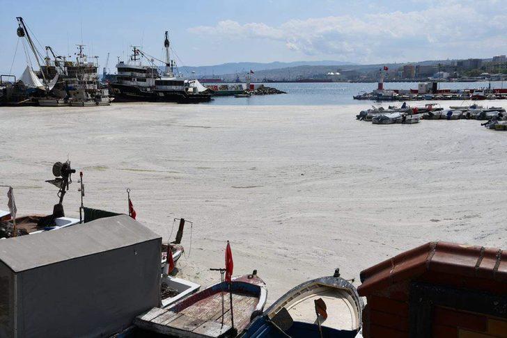 Marmara Denizi'ndeki müsilaj sorunu ile ilgili endişelendiren açıklama G2