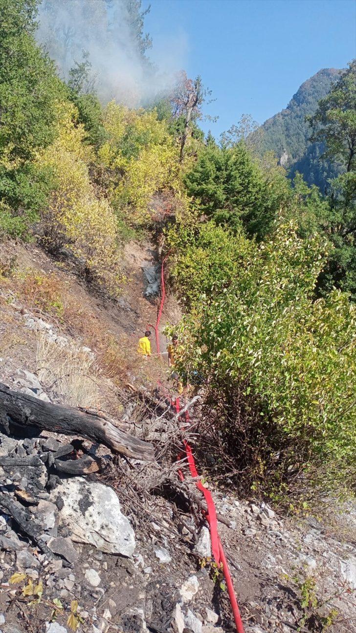 Osmaniye'deki orman yangını kontrol altına alındı G1