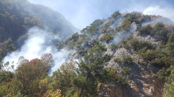 Osmaniye'deki orman yangını kontrol altına alındı G2