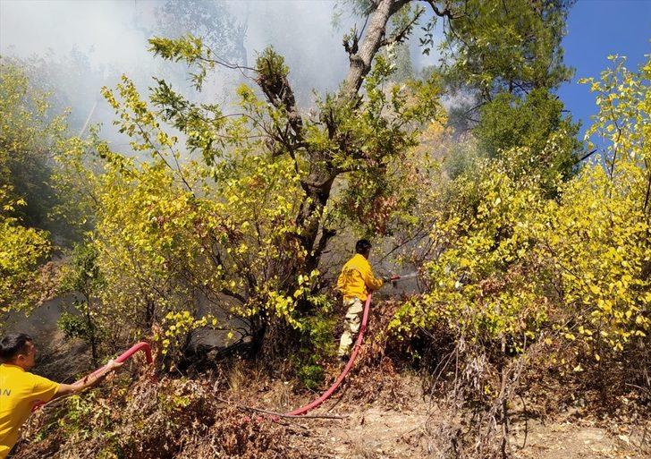 Osmaniye'deki orman yangını kontrol altına alındı G3