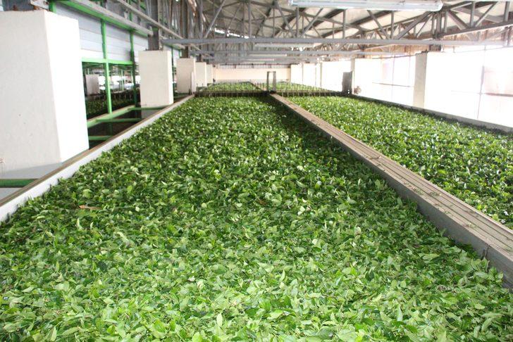 24 yaşındaki fabrika sahibi: Gençlerimizin en büyük problemi iş beğenmeme G3