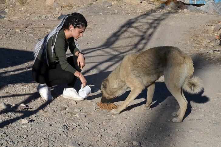 Baraj nedeniyle boşaltılan köyde sahipsiz kalan köpekler destek bekliyor G1