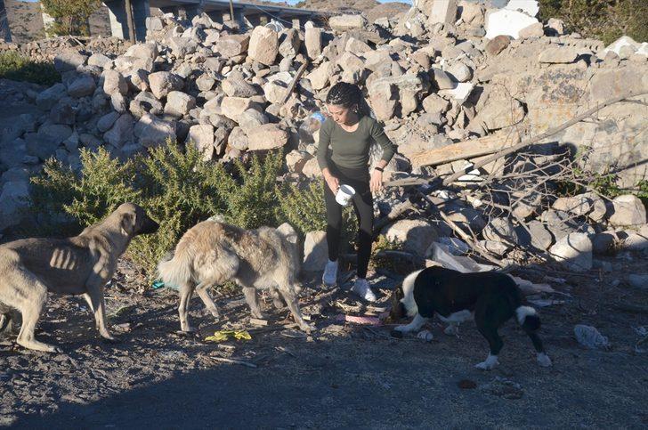 Baraj nedeniyle boşaltılan köyde sahipsiz kalan köpekler destek bekliyor G4