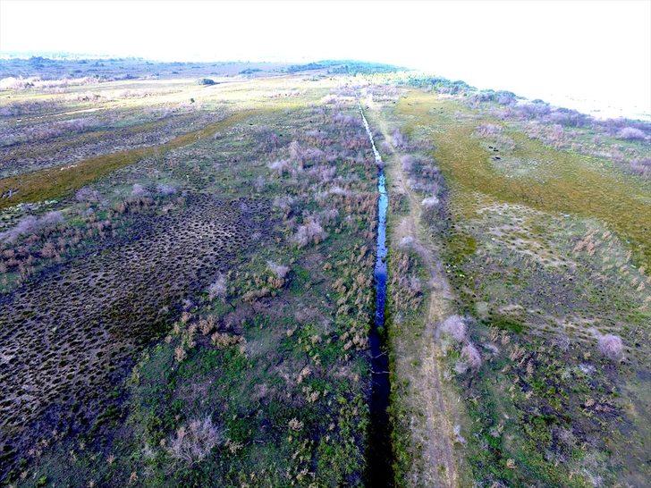 Kızılırmak Deltası'nda yanan alanlar 1 yılda doğal yapısına kavuştu G1