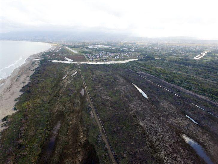 Kızılırmak Deltası'nda yanan alanlar 1 yılda doğal yapısına kavuştu G2