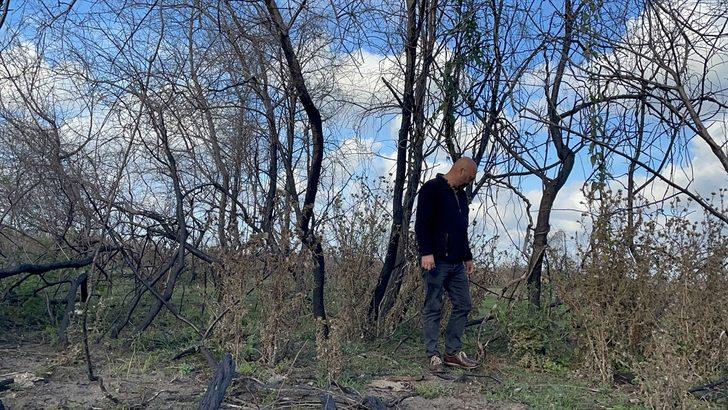 Kızılırmak Deltası'nda yanan alanlar 1 yılda doğal yapısına kavuştu G5