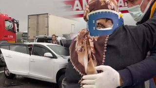 Son Dakika: Sapanca mevkiinde zincirleme trafik kazası! Ankara yönü ulaşıma kapandı