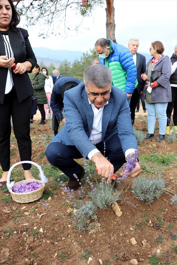 Karabük'te "5. Safran Festivali" sona erdi G1