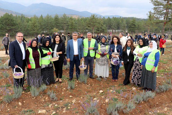 Karabük'te "5. Safran Festivali" sona erdi G2