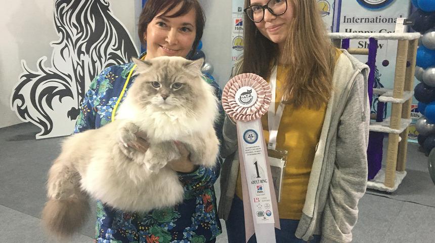 Sosyal medya fenomeni Prenses, görenleri büyüledi