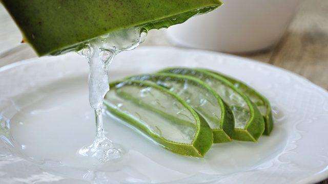 Adeta gizli bir hazine! Aloe vera jeliyle neler yapabileceğinizi biliyor musunuz?