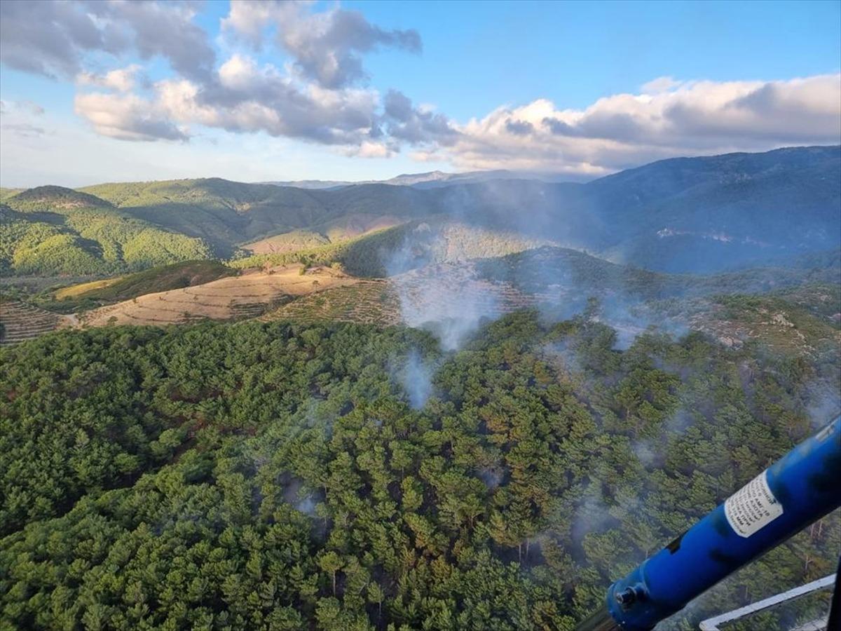 Balıkesir'in Edremit il&ccedil;esinde &ccedil;ıkan orman yangınına m&uuml;dahale ediliyor