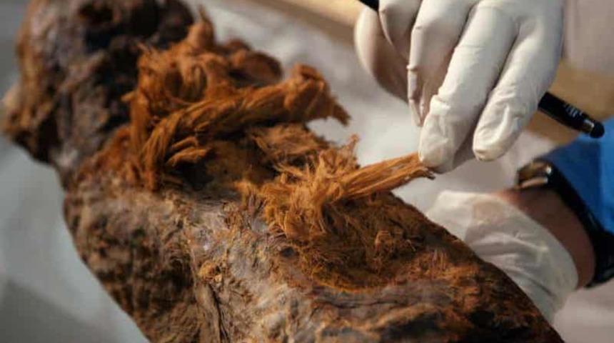 Tarih kitapları yeniden yazılabilir! Binlerce yıl öncesine ışık tutuyor