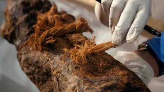 Tarih kitapları yeniden yazılabilir! Binlerce yıl öncesine ışık tutuyor