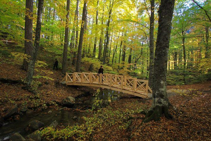 Kütahya'daki Domaniç Dağları'na fotoğrafçılar ilgi gösteriyor G1