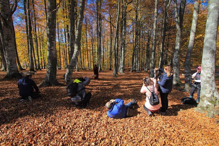 Kütahya'daki Domaniç Dağları'na fotoğrafçılar ilgi gösteriyor G2