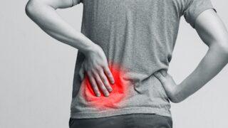 Böbrek nakli 50 yaşında