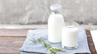 Süt her yaşta tüketilmeli