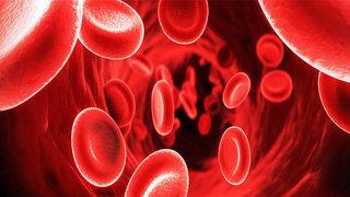 Demir eksikliği zihinsel gelişimi etkiliyor 