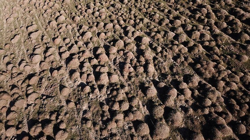 Toprak saldırganlığı engelliyor