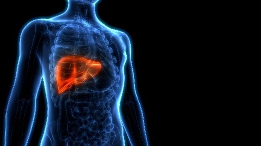 Alkol ve karaciğer ilişkisi