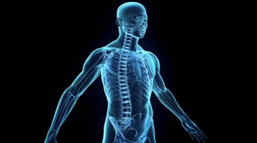 Organları asimetrik olanlar daha saldırgan