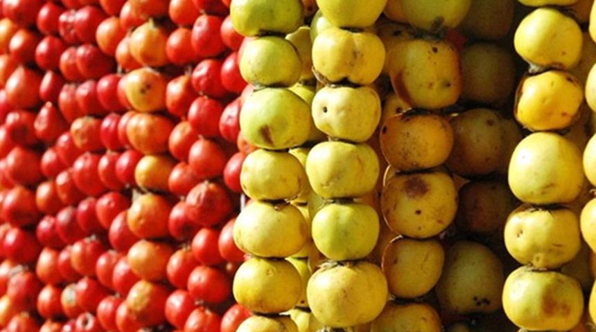 İnsan vücudunun doktoru, alıç