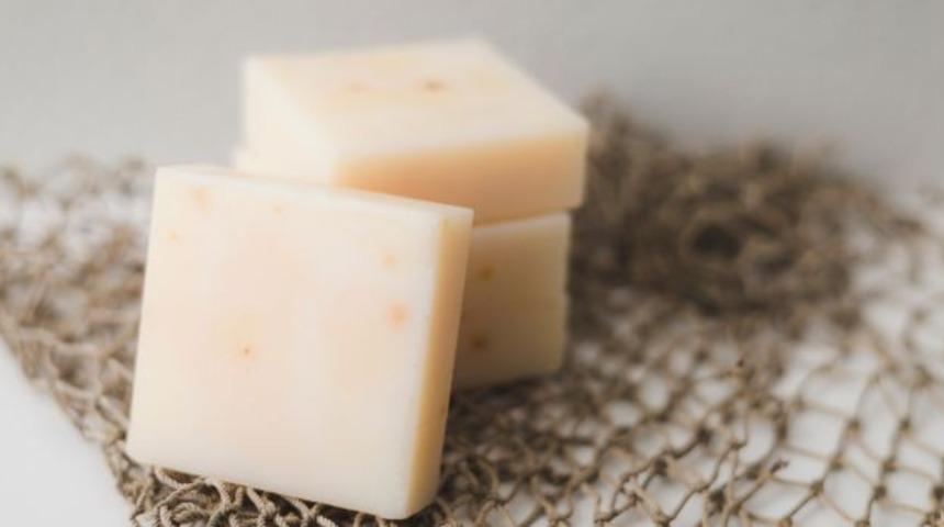 T&uuml;rk peyniri ABD pazarında