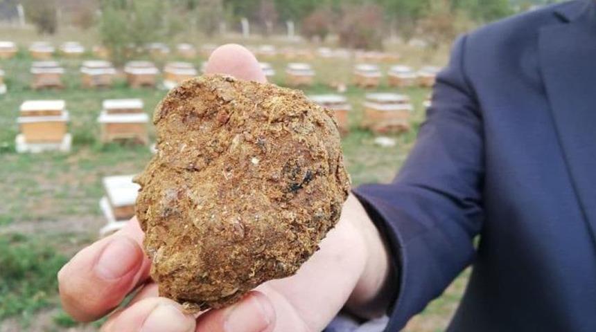 Koronavirüs sonrası talep arttı, litresi 3 bin TL