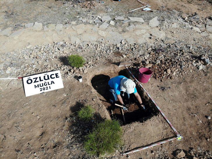 Muğla'daki 9 milyon yıl öncesine ait fosil alanında yeni buluntulara ulaşıldı G1