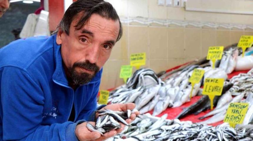 Karadeniz’in en ucuz balığı 7 TL, en pahalısı 150 TL