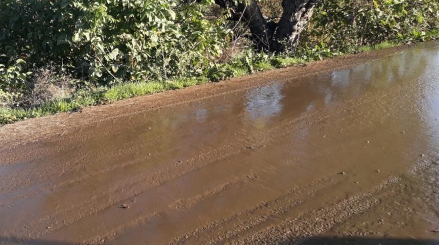 Bursa'da isyan ettiren görüntü! Ana yol hayvan pisliğiyle kaplandı