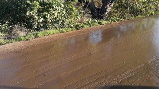 Bursa'da isyan ettiren görüntü! Ana yol hayvan pisliğiyle kaplandı