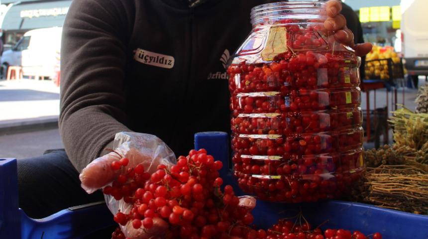 Bir haftada 300 kilo sattı! Gençlik iksiri gilaburuya yoğun talep