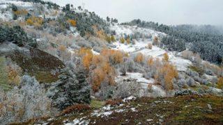 Artvin'in sakin şehrine kış erken geldi! Kartpostallık görüntüler oluştu