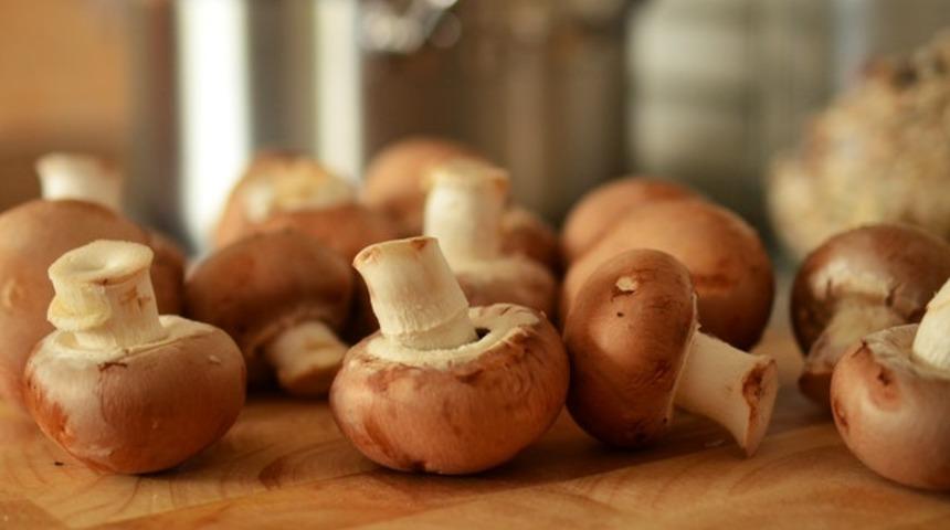 Çeşit çeşit mantar, çeşit çeşit tarif! Mantarın binbir türlü halini yansıtan enfes tarifler