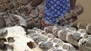 Birçok hayvana ait kafatası, kemik ve uzuvlar var! Dünyanın en büyük büyü pazarı görenleri korkutuyor