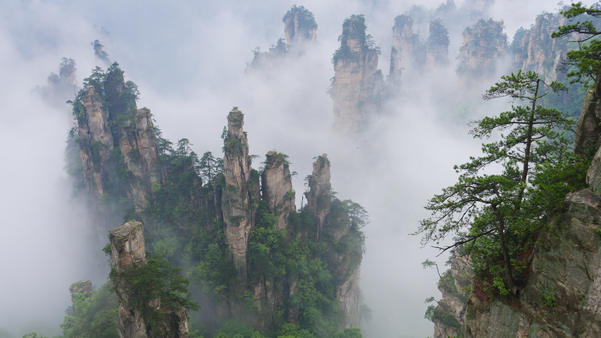 Avatar filmine ilham oldu! Görenleri manzarası ile büyüleyen bir yer: Tianzi Dağları - Mynet trend