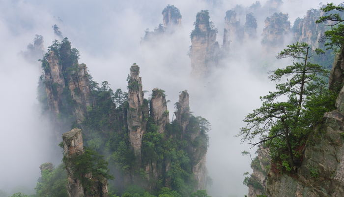 Avatar filmine ilham oldu! Görenleri manzarası ile büyüleyen bir yer: Tianzi Dağları